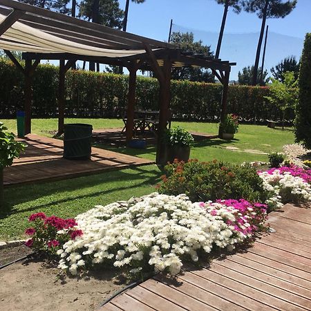 Villa De Lux With Pool كينتا دو أنجو المظهر الخارجي الصورة